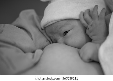 Newborn Baby Skin To Skin After Birth Breastfeeding With New Mother Latching Well Eyes Open Drinking Milk Soft Focus On The Breast No Nipple Exposed Black And White