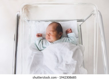 Newborn baby is sleeping in small transparent portable plastic bed. Baby first days of life is lying in a hospital crib after birth.