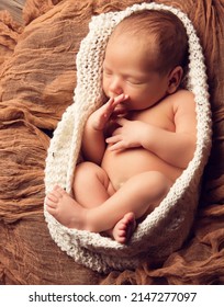 Newborn Baby Sleeping Wrapped In Knitted Blanket. Child In Fetal Embryo Position Sucking Finger Over Brown Cotton Fabric. Cute Infant Kid Dreaming In Woolen Beige Swaddle. Baby Birth Care Concept