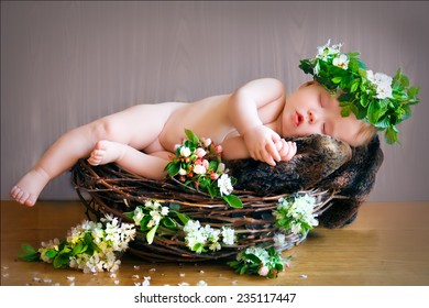 Baby Flower Hd Stock Images Shutterstock