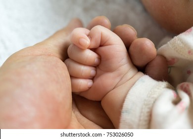 Newborn Baby Touching His Father Hand