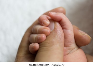 Newborn Baby Touching His Father Hand