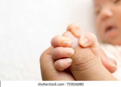 Newborn Baby Touching His Father Hand