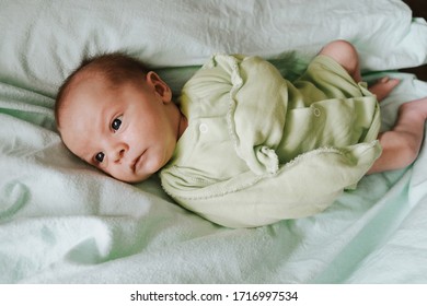 Newborn baby wearing bodysuit lying in bed. Top view. Infant boy. - Shutterstock ID 1716997534