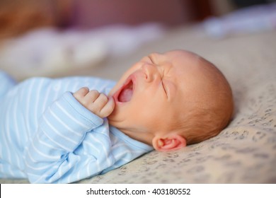 
Newborn Baby Yawns