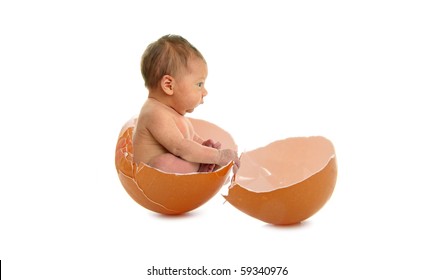 Photo De Stock Nouveau Ne Naissance Dans Un Oeuf Shutterstock