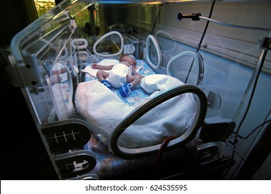 Newborn Child Baby Having A Treatment For Jaundice Under Ultraviolet Light In Incubator. A Neonatal Intensive Care Unit (NICU), Intensive Care Nursery (ICN) For Premature Newborn Infants