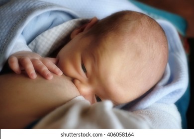Newborn child breastfeeding