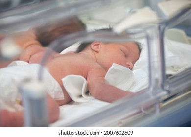 Newborn children are in the boxes in the hospital. - Powered by Shutterstock