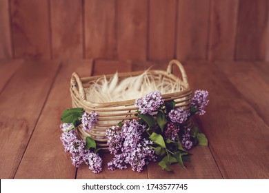 Newborn Digital Background Spring lilac Basket Prop for Newborn. For boys and girls. Wood back. shoot set up with prop bed and wood backdrop