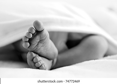 Newborn Feet