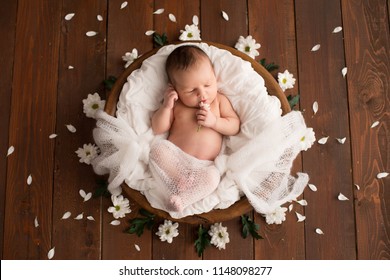 Small Baby Photoshoot Images, Stock 