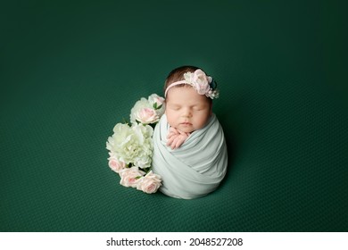 Newborn girl on a green background. Photoshoot for the newborn.. A portrait of a beautiful, newborn baby girl