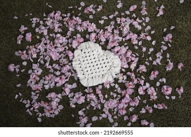 Newborn Girl Photoshoot Background, Crochet Braided White Heart On A Bed Of Real Cherry Blossoms, Green Grass Carpet