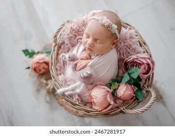 Newborn Girl In Pink Suit With Toy Cat Sleeps In Wooden Heart-Shaped Bowl During Professional Newborn Photoshoot - Powered by Shutterstock