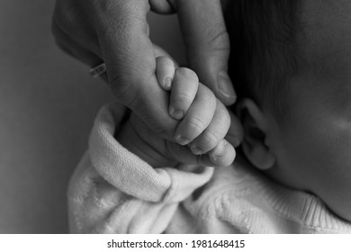 A Newborn Holds On To Mom's, Dad's Finger. Hands Of Parents And Baby Close Up. A Child Trusts And Holds Her Tight. Black And White Photo. 