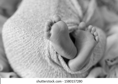 Newborn Feet High Res Stock Images Shutterstock Newborn Feet High Res Stock Images Shutterstock