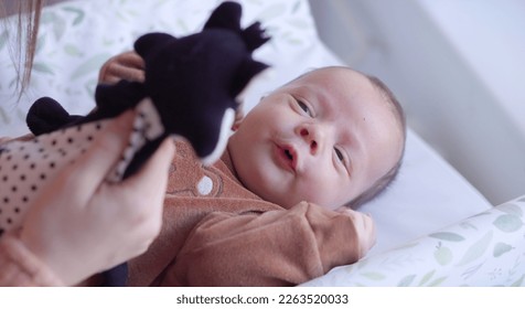 Newborn looking at the white and black toy. What newborn see, contrast, black and white concept - Shutterstock ID 2263520033