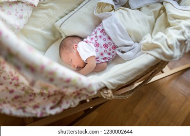 Newborn In Moses Basket