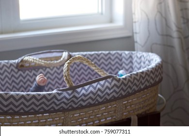 Newborn In Moses Basket