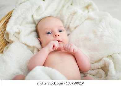 Newborn Naked Baby Lying Wicker Basket Stock Photo Shutterstock