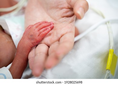 Nacida neonatal pulso oxímetro bebé prematuro. Madre sosteniendo a sus hijos dentro de la incubadora.