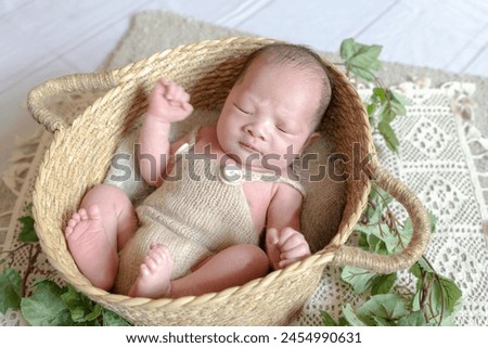 Similar – Baby lying in a wicker basket