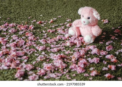 Newborn Photoshoot Backdrop Background Spring Summer Easter Cherry Blossoms Pink Teddy Bear