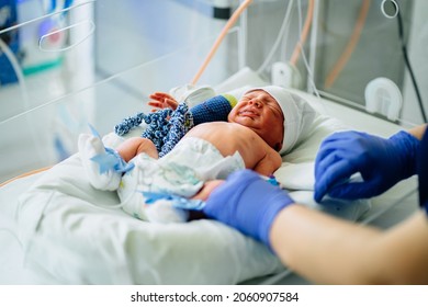 Newborn Is Placed In The Incubator. Hand Of Nurse Or Doctor Checking Baby In Incubator. Neonatal Intensive Care Unit. Hand Of Nurse Or Doctor Checking Baby In Incubator