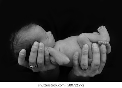 Newborn Premature Baby being held in father's hands/ Black and white - Powered by Shutterstock