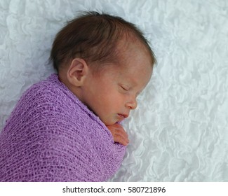 Newborn Premature Baby Swaddles In Purple Wrap