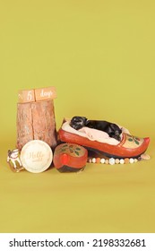 Newborn Puppy Asleep In A Dutch Wooden Clog