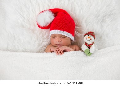 Sleeping Christmas Baby Dachshund Puppy Wearing Stock Photo 314121098 ...