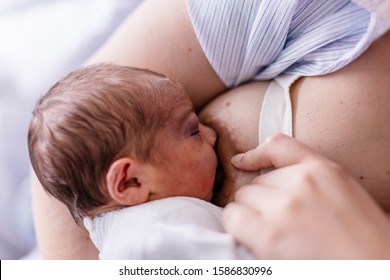 Newborn son taking his mother's breast, breastfeeding, colostrum, breast milk, in hospital bed, clinic.