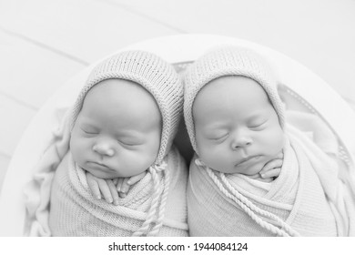 Newborn Twin Sisters. First Photo Shoot Of Newborns. Black And White Photo Of Newborn Twins