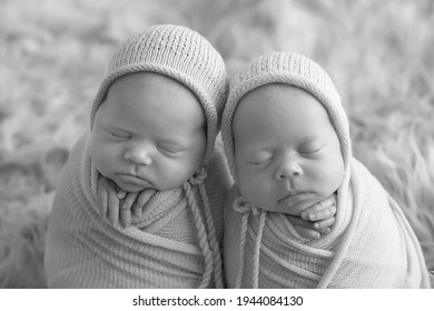 Black Twins Newborns Images Stock Photos Vectors Shutterstock