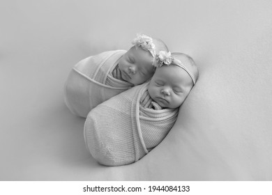 Newborn Twin Sisters. First Photo Shoot Of Newborns. Black And White Photo Of Newborn Twins