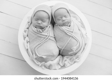 Newborn Twin Sisters. First Photo Shoot Of Newborns. Black And White Photo Of Newborn Twins