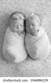 Newborn Twin Sisters. First Photo Shoot Of Newborns. Black And White Photo Of Newborn Twins