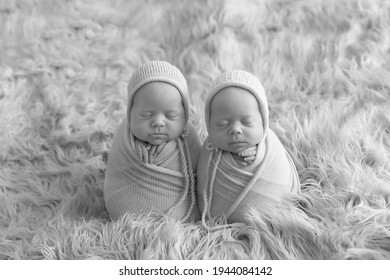 Newborn Twin Sisters. First Photo Shoot Of Newborns. Black And White Photo Of Newborn Twins