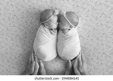 Newborn Twin Sisters. First Photo Shoot Of Newborns. Black And White Photo Of Newborn Twins