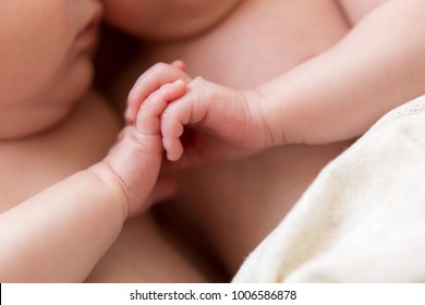 Newborn Twins. The Twins Hold Hands. The Hands Of Newborn Children
