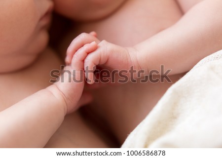 newborn twins. the twins hold hands. the hands of newborn children
