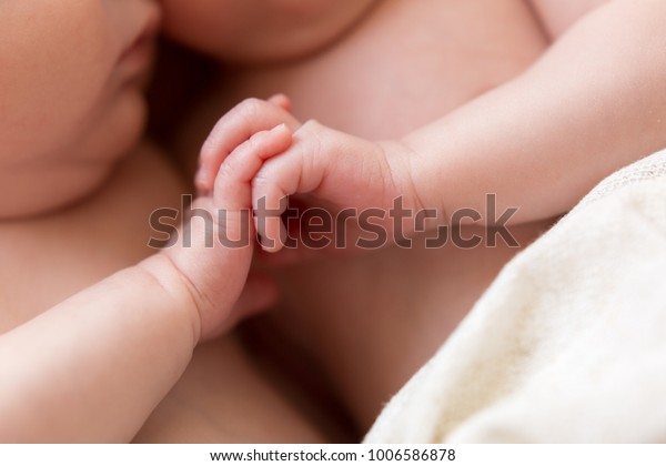 newborn twins. the twins hold hands. the hands\
of newborn children\
