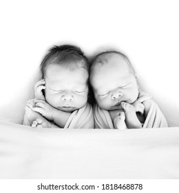 Newborn Twins Wrapped In A Wrap Sleeping On Blanket. Babies Lie Together. Sibling Love From Birth - Sisters, Brothers. Black And White Picture.