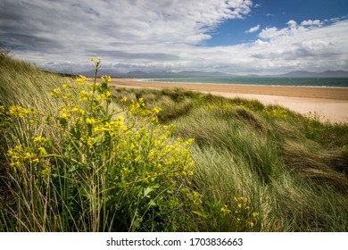 Newborough Beach, Anglesey, Wales, UK. Sand Dunes And Beach With Snowdonia National Park And Mountain Range In The Distance.