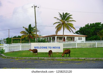 NEWCASTLE, NEVIS -22 NOV 2018- View Of The Vance W. Amory International Airport, A Single Runway Airport Located In Nevis In The Federation Of Saint Kitts And Nevis.