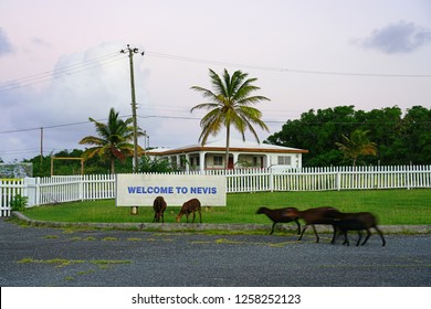 NEWCASTLE, NEVIS -22 NOV 2018- View Of The Vance W. Amory International Airport, A Single Runway Airport Located In Nevis In The Federation Of Saint Kitts And Nevis.