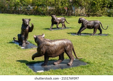 Newcastle upon Tyne, UK - April 29th, 2022: Outdoor visitor attraction of lion sculptures, Born Free Forever, from the charity the Born Free Foundation, in Exhibition Park.