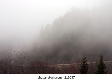 Newfound Gap Road In Fog
Great Smoky Mountains